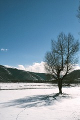 38A5BD44-8BEB-406C-80DB-0E7D6E68D091/L0/001