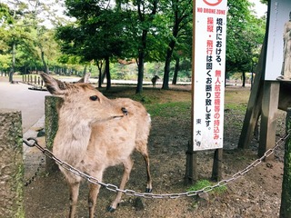 A9B5A3B6-A25E-44BC-A35F-2C78724087A3/L0/001
