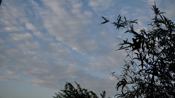04E889EE-1F9D-47EB-924C-1C4752EF65B5/L0/001