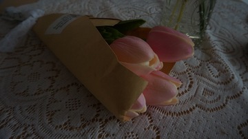 7D7162A2-1CF3-4845-91B4-2F544BECCC3E/L0/001