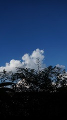 C7866F54-1E28-4AC6-81F5-5263B712FB6A/L0/001