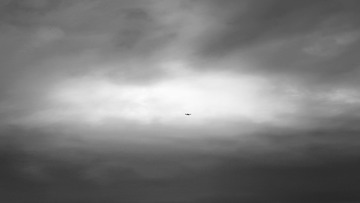 9C01C021-3820-4179-A476-1DA2DE88D835/L0/001