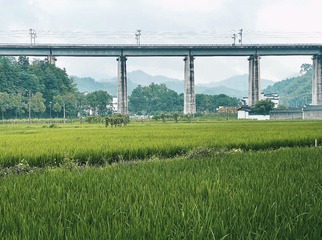 E38C608C-544E-489C-807B-436C4FA4716E/L0/001