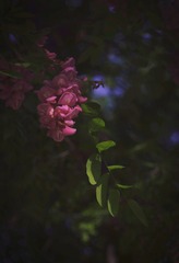 F32908A7-04AE-4293-8407-5C7FD17956AB/L0/001