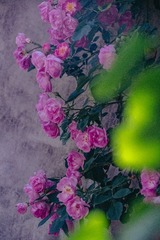 78E9860E-0512-4805-840F-12E9207BD10B/L0/001