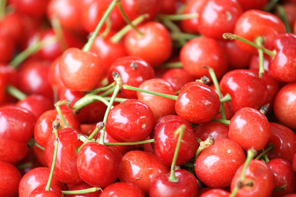 红樱桃 - "红"主题月赛征稿 - 图虫网 - 最好的摄影师都在这