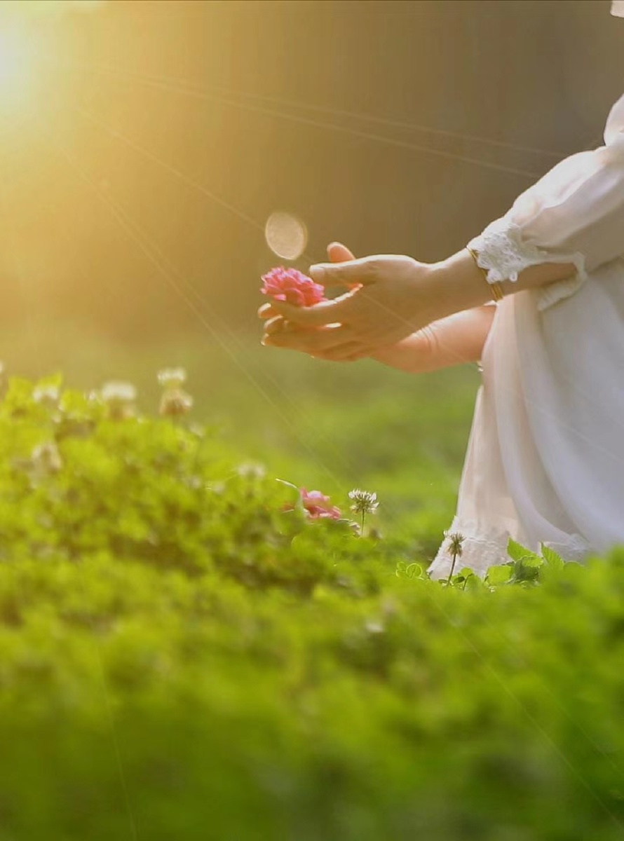 给心灵一米阳光让心情常沐于花香