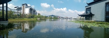 17055