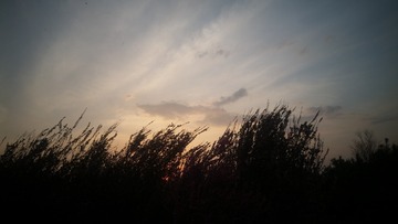 472851