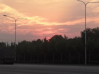 1637262