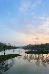 21810345-907A-4F0A-AD32-5C2FDB017CA7/L0/001