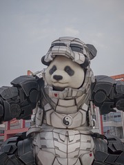 17193