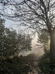 9727394