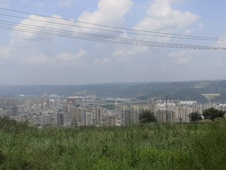 9493541