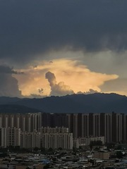9558569