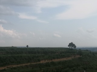 9494263