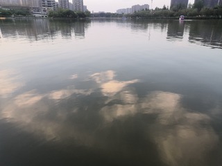 9328223