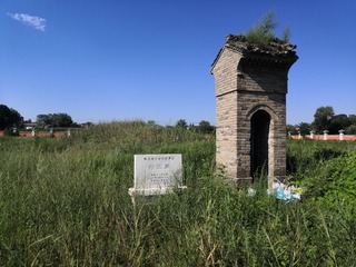 9520479