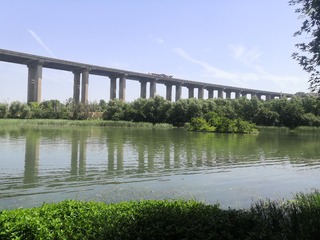 9425156