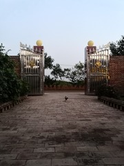 9509572