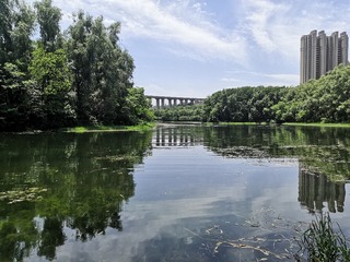 9425145