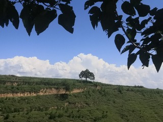 9493648