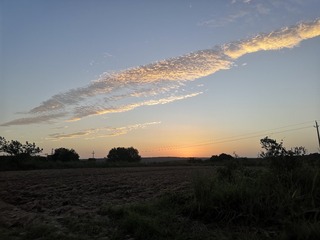 9509608