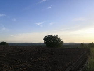 9509505