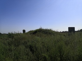 9520477