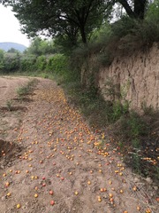 9408353