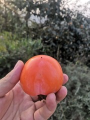 9658765