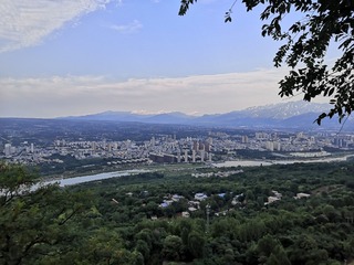 9442246