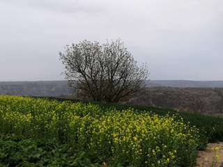 9241640