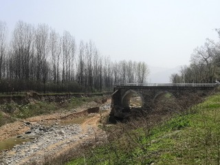 9209081