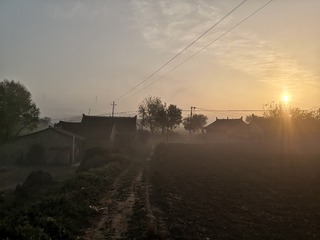 9727397