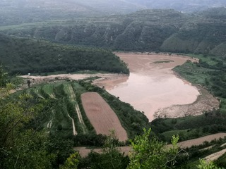 9509432