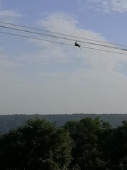 9509602