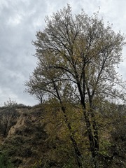 9734889