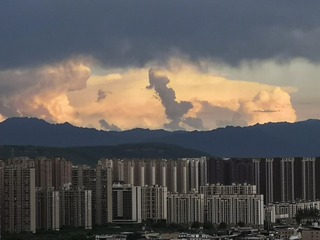 9558576