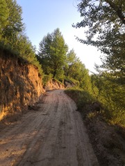 9509659