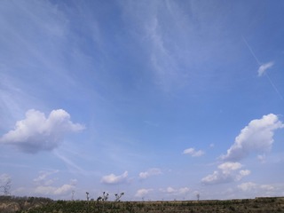 9241785
