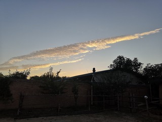 9509606