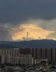 9558573