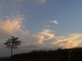 9493610