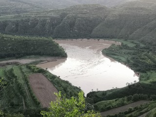 9509528