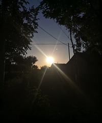 9509666