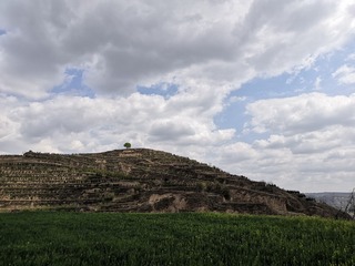 9241773