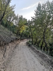 9658784