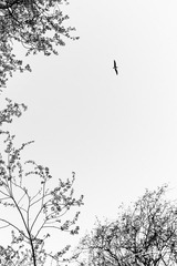 20120301-076.jpg