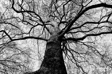 20120315-067.jpg